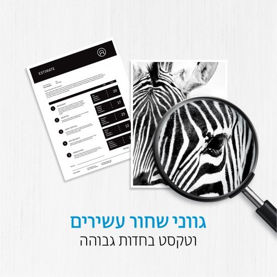 תצוגה